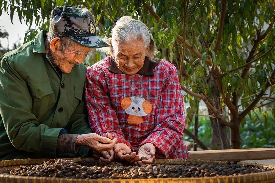 百岁老兵陈训杨：盛光与萤火