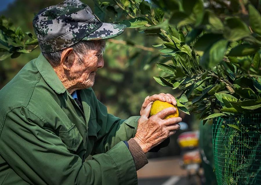 百岁老兵陈训杨：盛光与萤火