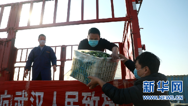 河南退役军人抗疫英雄谱：“疫”线践初心 忠诚续荣光