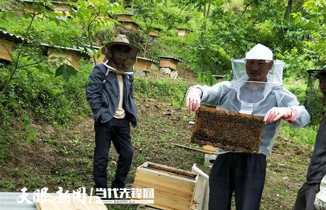 退伍军人陈刚：追梦不停 只为带富乡里
