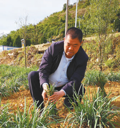 老兵又有新作为