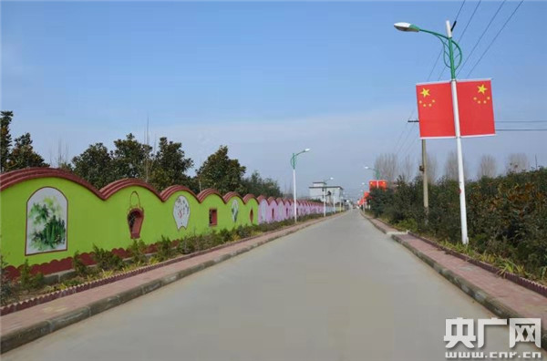 南召县优秀“兵支书”受群众热捧-