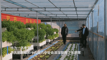 六中全会精神在基层｜“鱼菜共生” 一位退役老兵的共同富裕梦