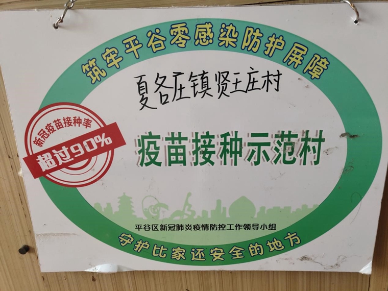 传统小村落如何升级？这位兵支书的方法独“薯”一帜！