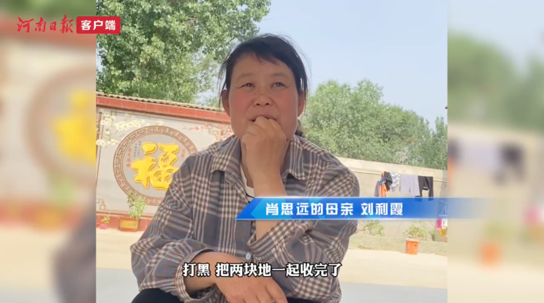 肖思远父母为啥偷偷收麦子？真相是……-