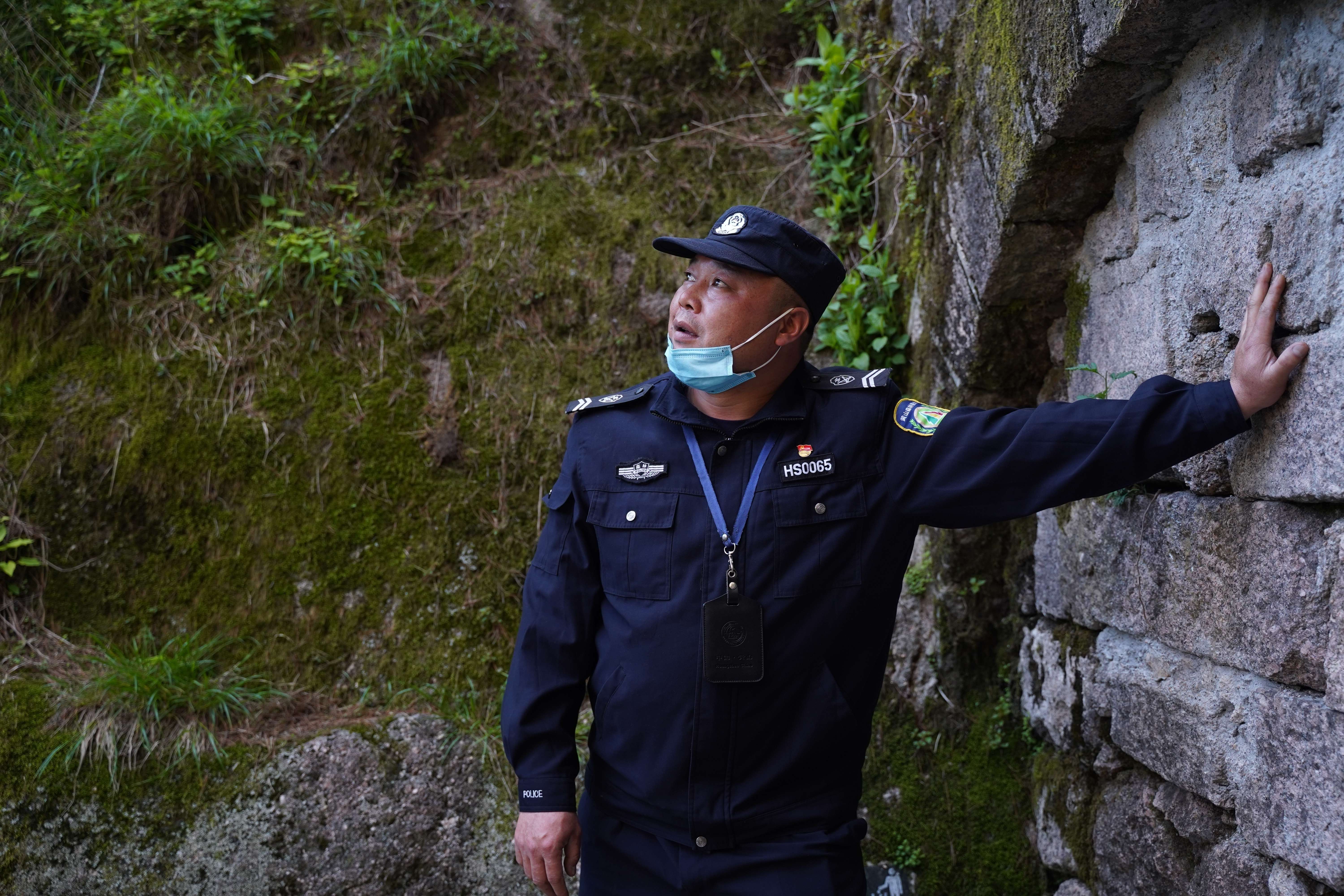 收到总书记回信的黄山守松人胡晓春,有怎样的故事?-
